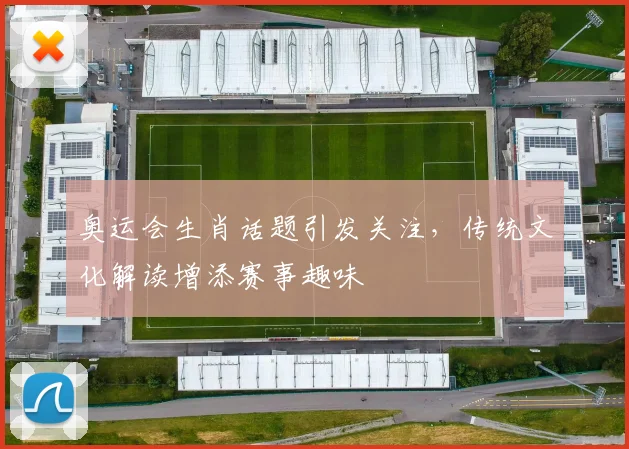 奥运会生肖话题引发关注，传统文化解读增添赛事趣味